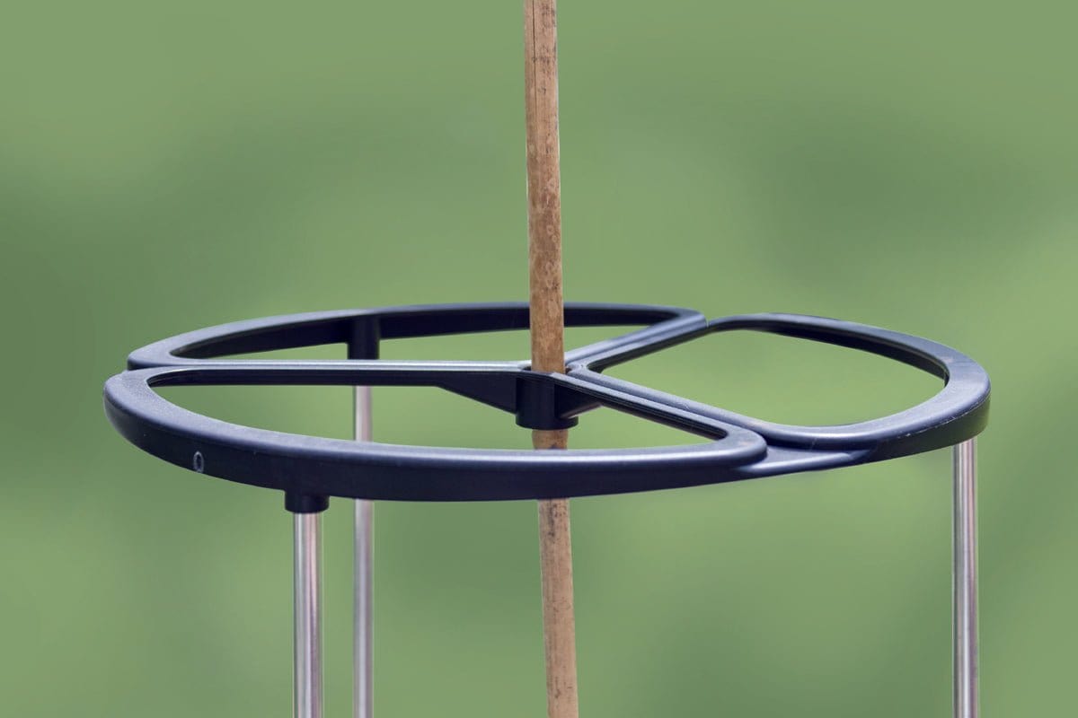 Grotårn, grøn - Blomsterverden